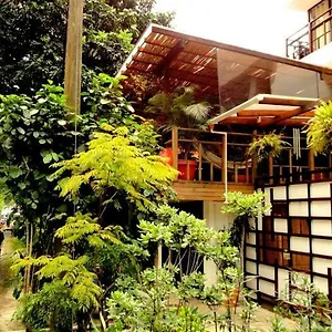 Hostel Casa Kiwi Medellin